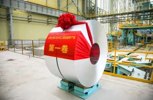 真色信息咨询服务