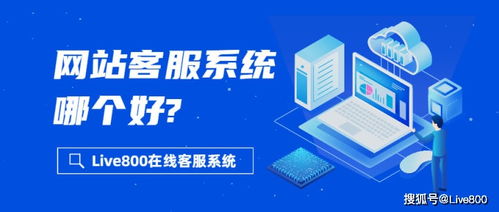 如何选择适合信息咨询服务的网站客服系统？